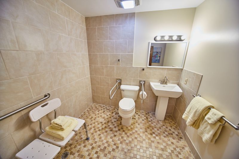 Senior Bathroom Safety detail